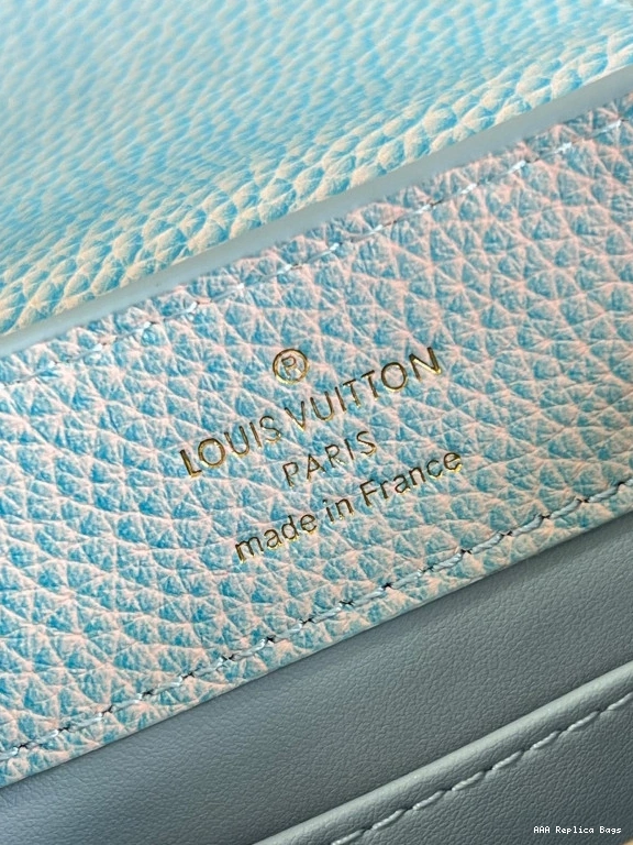 Aaa replica bags LOUIS VUITTON CAPUCINES MINI 0802